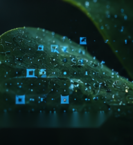 Agrochemicals application visual